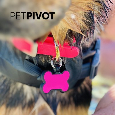 Custom Logo Silicone Pet ID Tags: Personalized Protection for Your Furry Friend