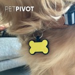 Custom Logo Silicone Pet ID Tags: Personalized Protection for Your Furry Friend