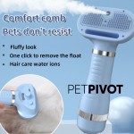 2-in-1 Pet Grooming Tool: Hot Air Comb and Hair Dryer for Dogs and Cats