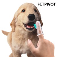 Pet Toothbrushes: Essential Dental Care Tools for Your Furry Friends