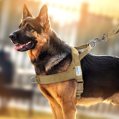 Walking dog rope large chest strap vest horse tactical training dog special collar dog leash