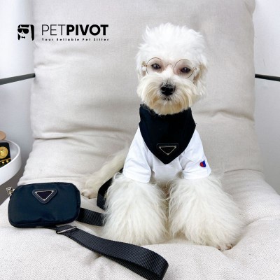 Adjustable pet saliva wipes for dog triangular wipes Schnauzer Fadou bib pet saliva wipes and outdoor sport small wallet Bag With Hook Zipper Pocket