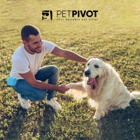 Dog Treat Pouch Silicone Portable Dog Treat Bag Food Snack Pouch Haversack Pet Training Pocket