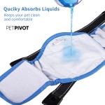 Reusable Wrap Diapers for Male Dogs, Washable Puppy Belly Band Pack of 3 (S, 10''-13''Waist, Blue)