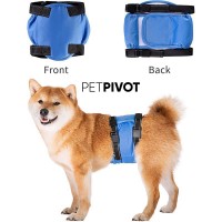 Reusable Wrap Diapers for Male Dogs, Washable Puppy Belly Band Pack of 3 (S, 10''-13''Waist, Blue)